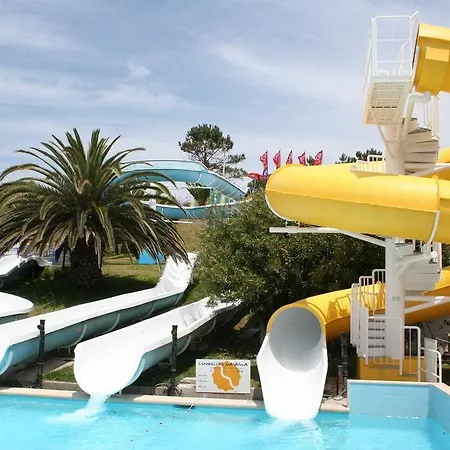 Teimoso 2* فيغيورا دا فوز