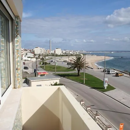 Teimoso Figueira da Foz