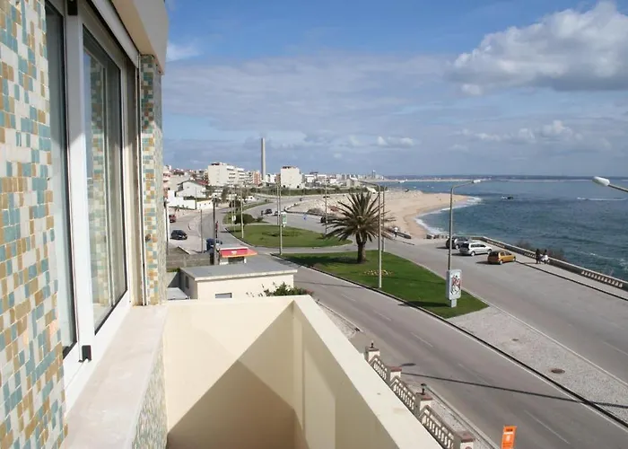 Teimoso Figueira da Foz